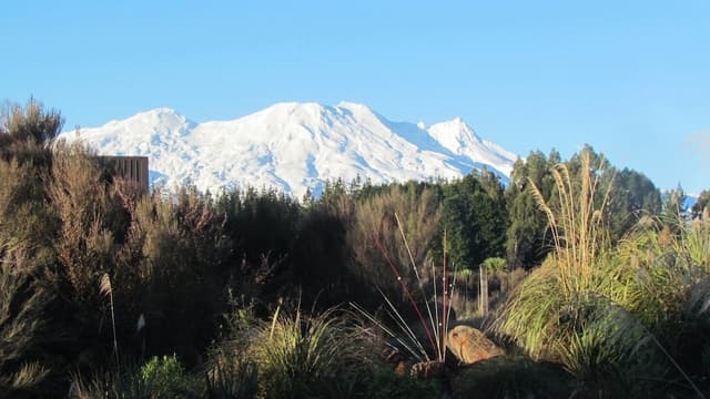 Tongariro Suite