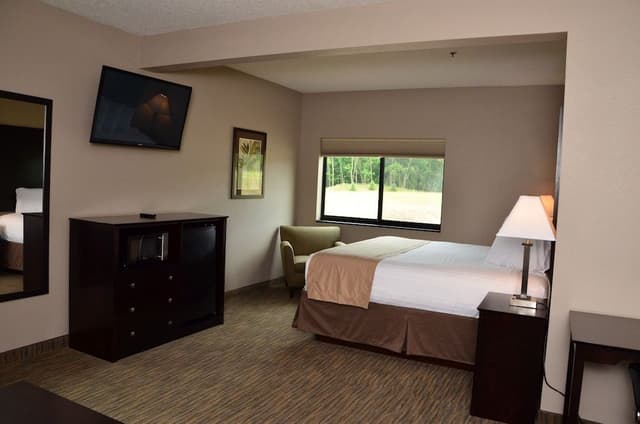 Executive Suite, 1 King Bed with Sofa bed