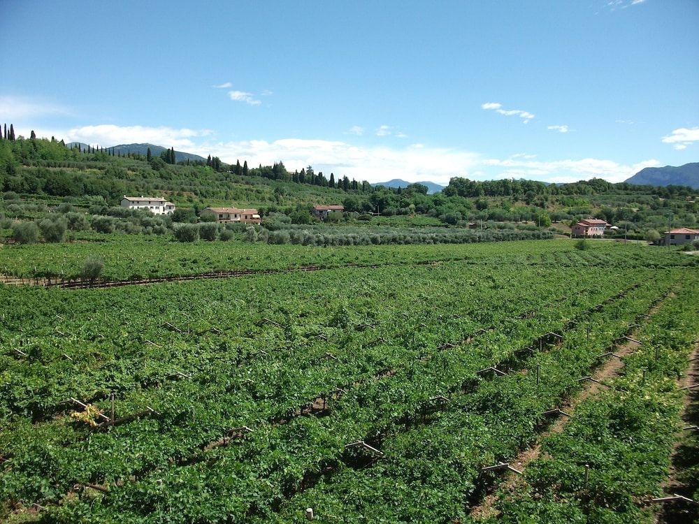 Agriturismo La Rocca1