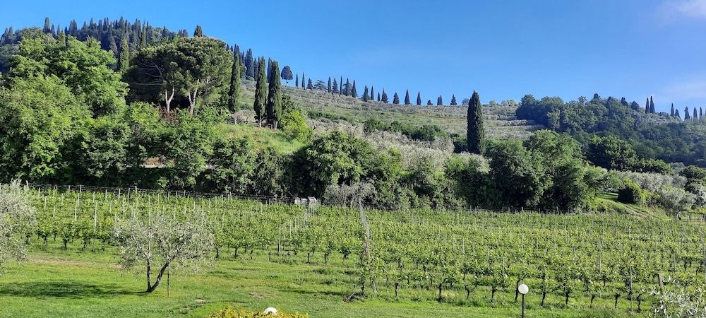 Agriturismo La Rocca3