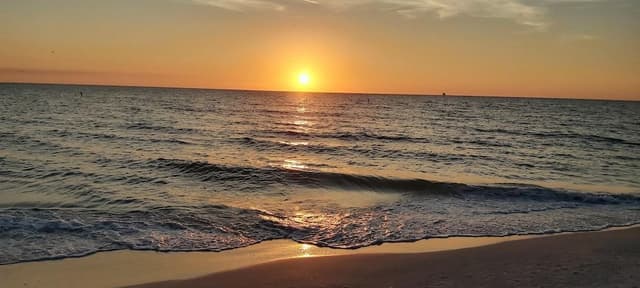 Condo, Multiple Beds (Palms Of Treasure Island #210)