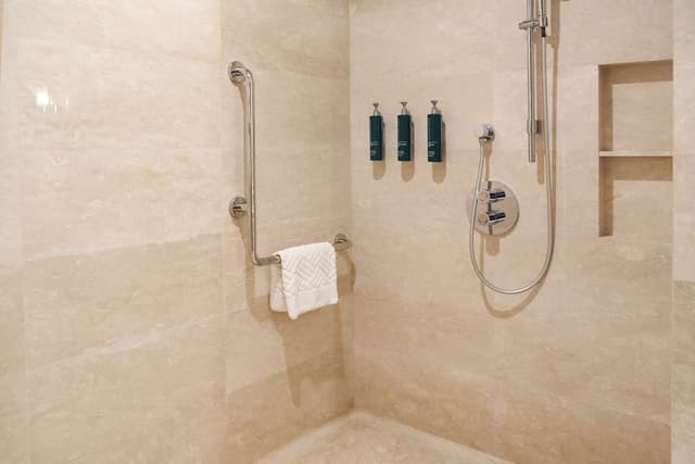 KING ACCESSIBLE GUEST ROOM W/ ROLL IN SHOWER