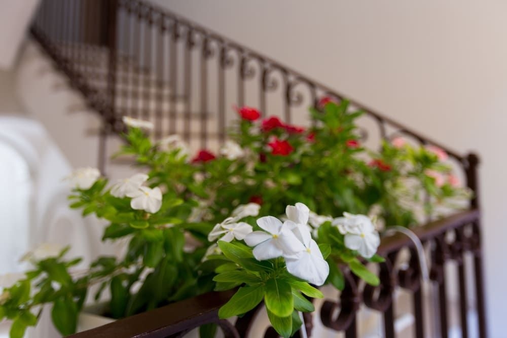 Bed & Breakfast Isola Blu1