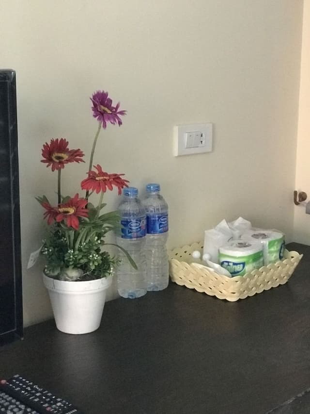 Deluxe Garden Room
