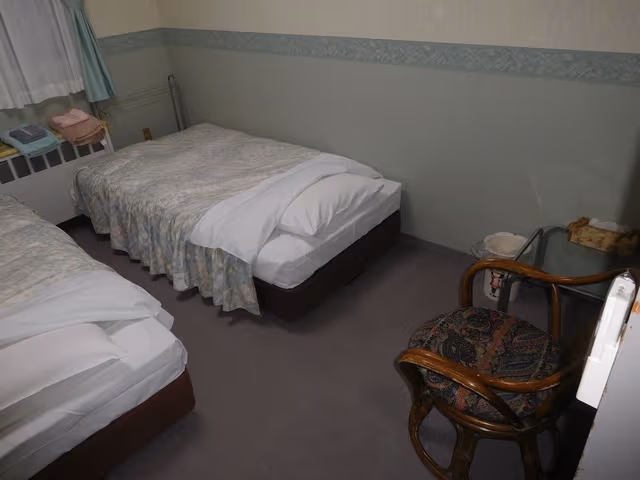 Basic Twin Room
