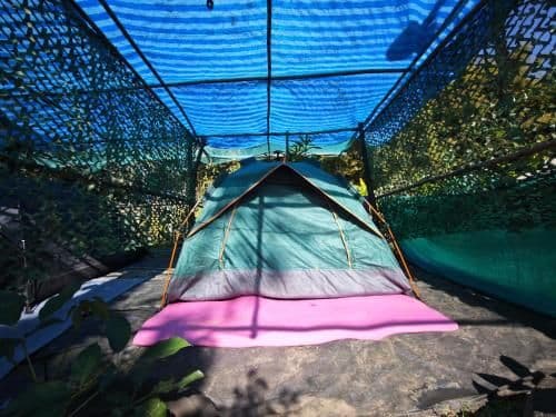 Tent