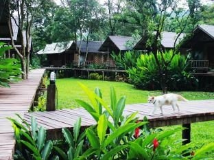 เขาสก คาบานา รีสอร์ท (Khao Sok Cabana Resort)3