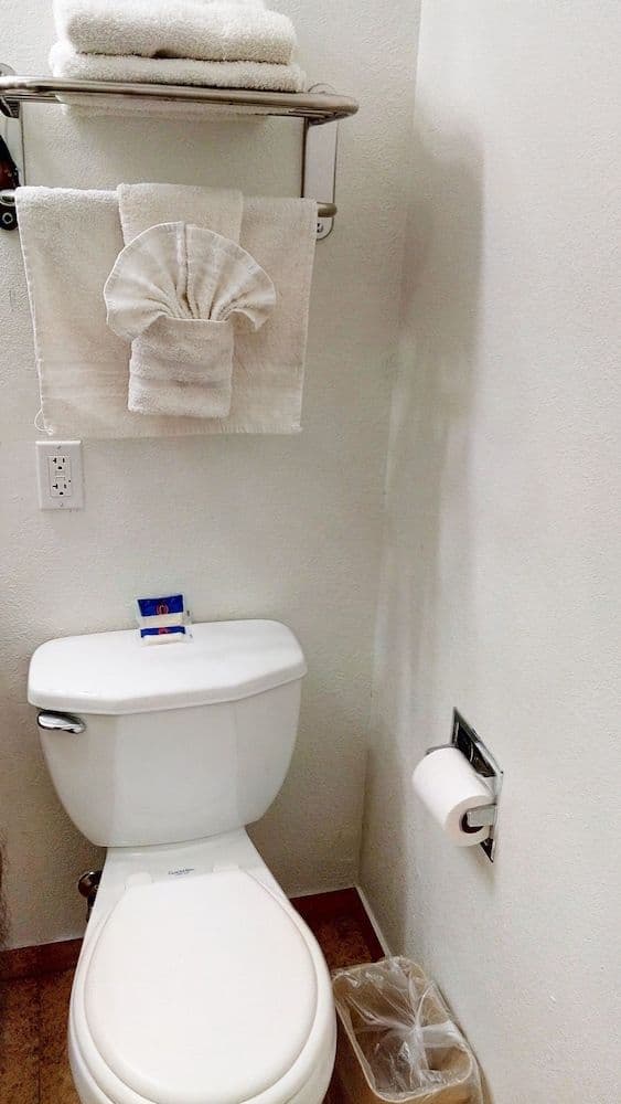 Deluxe Room, 1 King Bed, Non Smoking, Refrigerator & Microwave