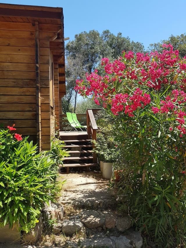 Luxury Chalet, 2 Bedrooms, Non Smoking, Sea View