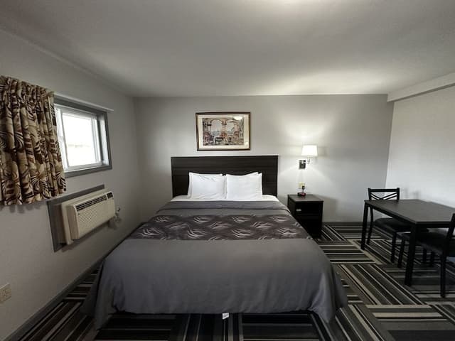Room, 1 King Bed