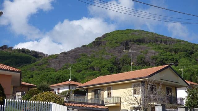 Apartment, 1 Bedroom, Balcony, Garden View