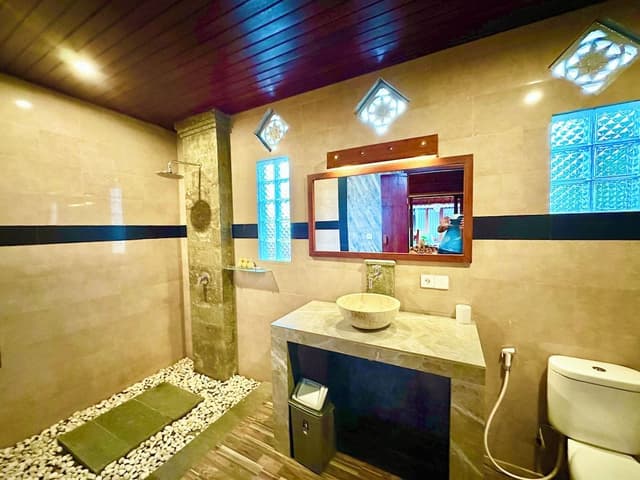 Deluxe Wooden House