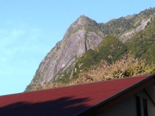 เกสท์เฮาส์ ยะกุชิมา (Guesthouse Yakushima)2