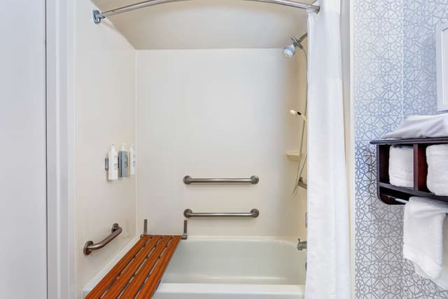 1 KING MOBILITY ACCESS WITH TUB NONSMOKING