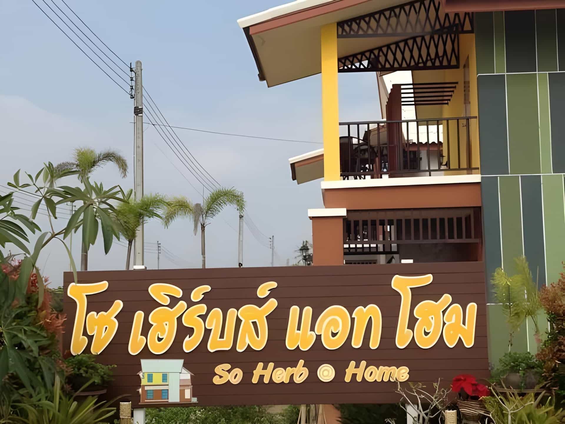 โซเฮิร์บ แอท โฮม โซเฮิร์บ แอท โฮม