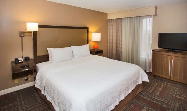 1 KING BED STUDIO SUITE W/ SOFABED NONSMOKING