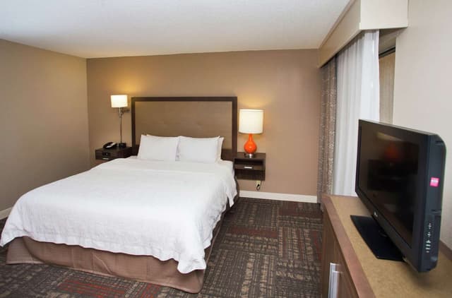1 KING BED STUDIO SUITE W/ SOFABED NONSMOKING