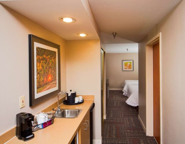 2 QUEENS STUDIO SUITE WITH SOFABED NONSMOKING