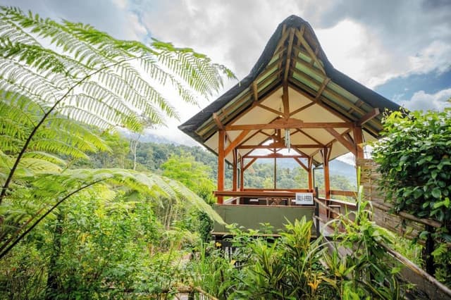 Suite Tent with Forest View