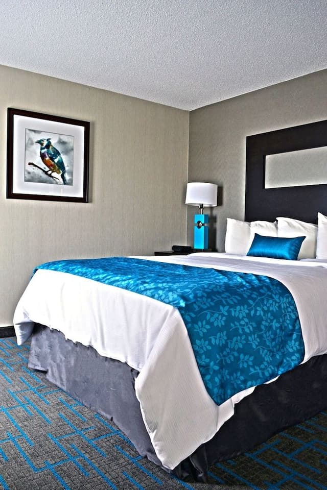 Suite, 1 Queen Bed, Roll-in Shower (Mobility Accessible)