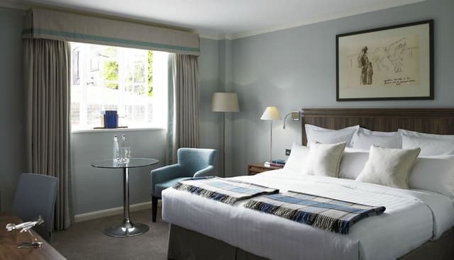 Signature Room, 1 King Bed