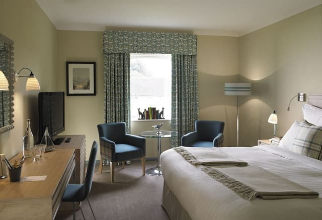 Room, 1 King Bed (Garden)