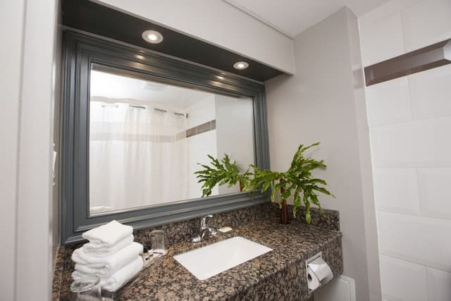 Luxury Suite, 1 King Bed, Jetted Tub