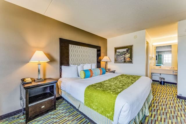 Room, 1 King Bed, Roll-in Shower, Non Smoking (Mobility Accessible)