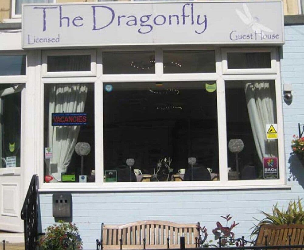 The Dragonfly The Dragonfly