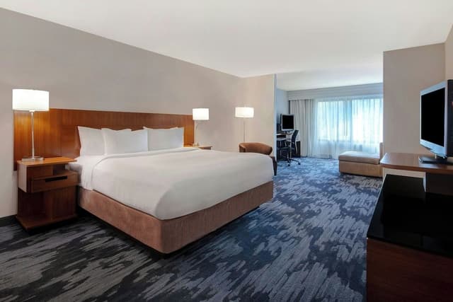 Suite, 1 King Bed with Sofa bed