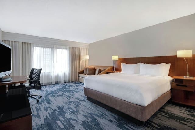 Room, 1 King Bed with Sofa bed