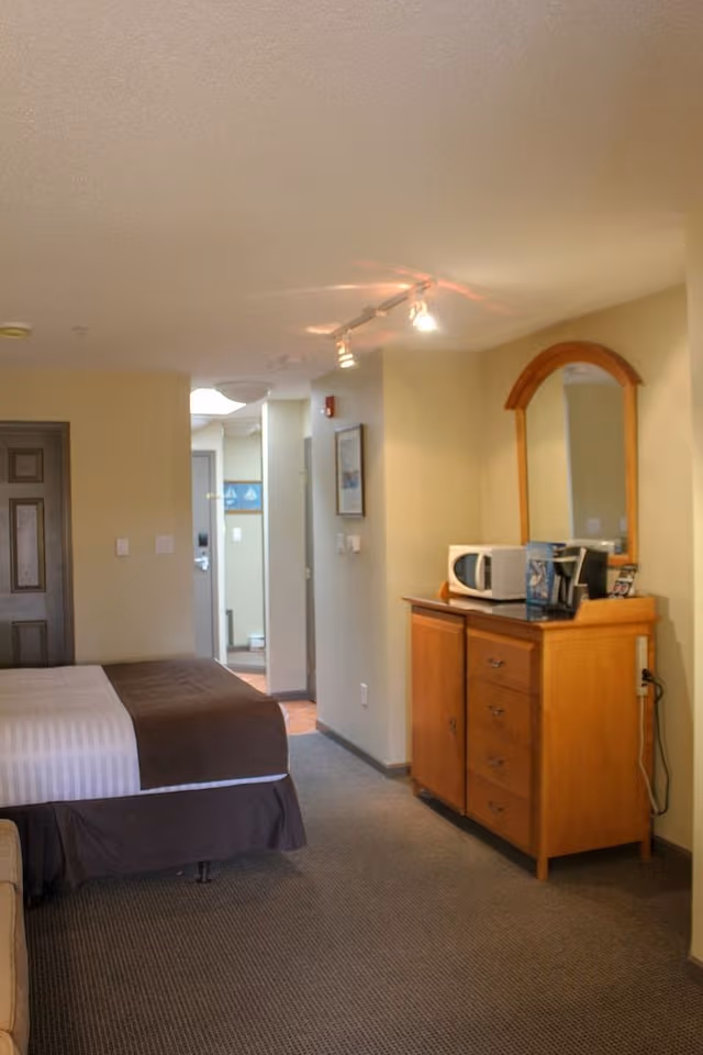 Standard Hotel Room, Queen Bed and Sofa Bed