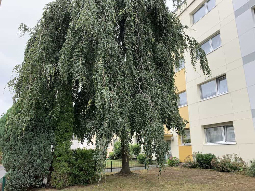 Airport Apartment Koln/Bonn