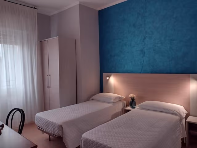 Basic Double or Twin Room