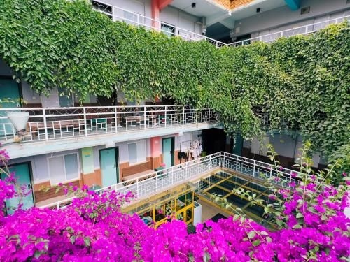 คุนหมิง คลาวด์แลนด์ อินเตอร์เนชั่นแนล ยูธโฮสเทล (Kunming Cloudland International Youth Hostel)0