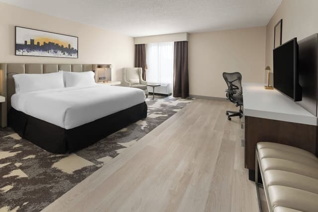 Standard Room, 1 King Bed, Accessible Bathtub (Mobility, Tub)
