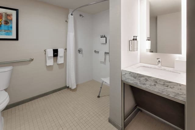 Standard Room, 1 King Bed, Accessible Bathtub (Mobility, Tub)