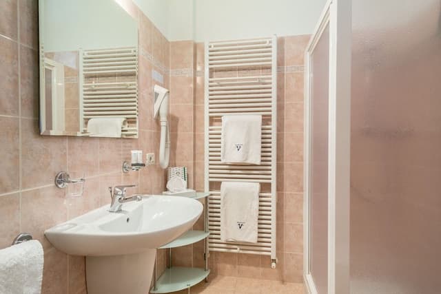 Premium Double or Twin Room, Lake View