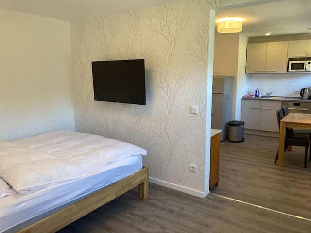 Business Apartment