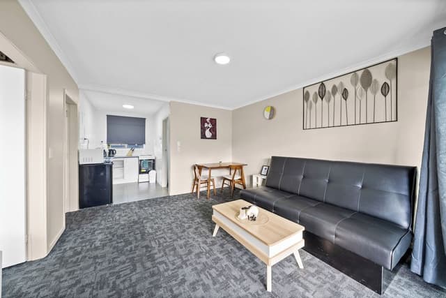 Luxury Apartment, 2 Bedrooms, Kitchenette