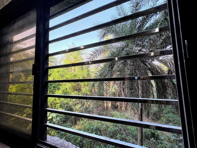 Deluxe Double Room, Park View