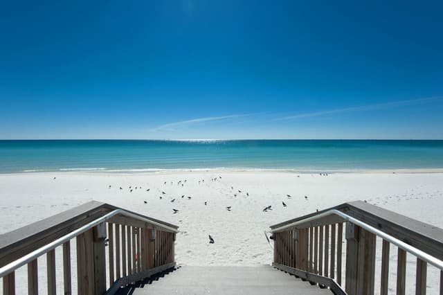 Condo, Multiple Beds (Holiday Surf and Racquet Club 319)