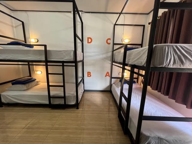 Bed in 4 Bed Dormitory (B)