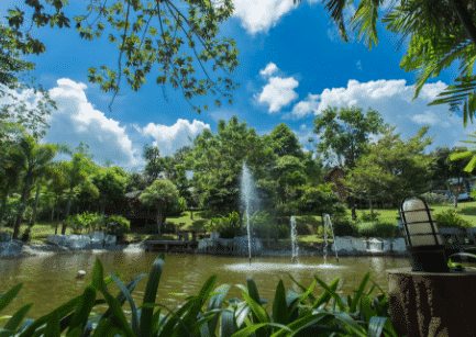 Starwell Garden Home Resort2