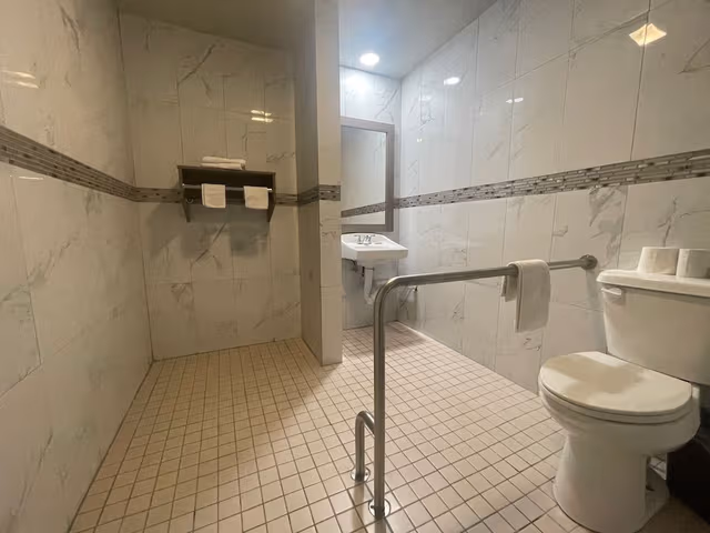 Standard Room, 1 King Bed, Accessible Bathtub, Smoking