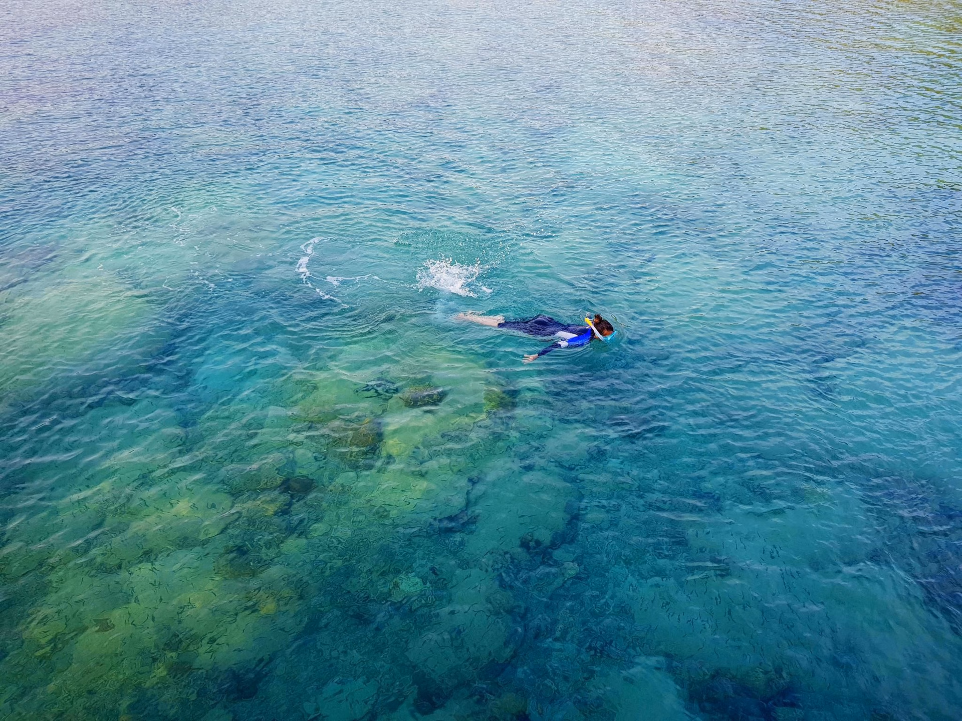โอมบัค ไดฟ์ รีสอร์ต (Ombak Dive Resort)4