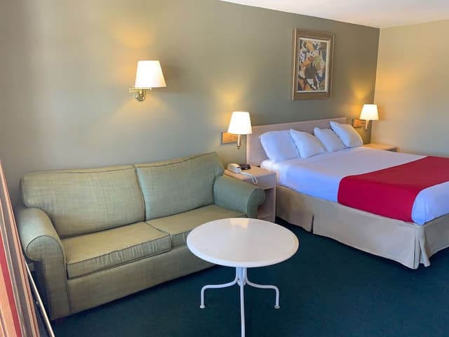 Room, 1 King Bed, Smoking (Deluxe)