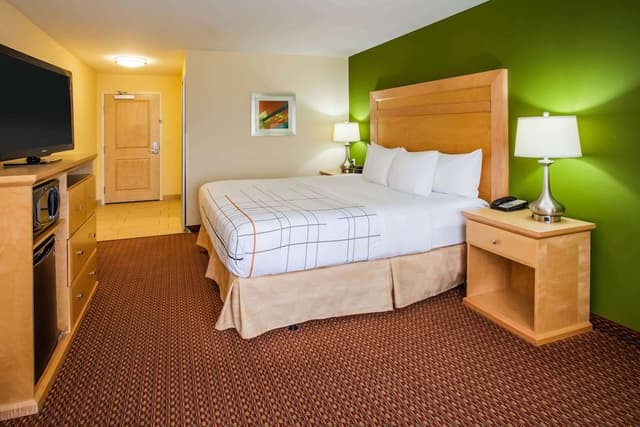 Room, 1 King Bed, Non Smoking