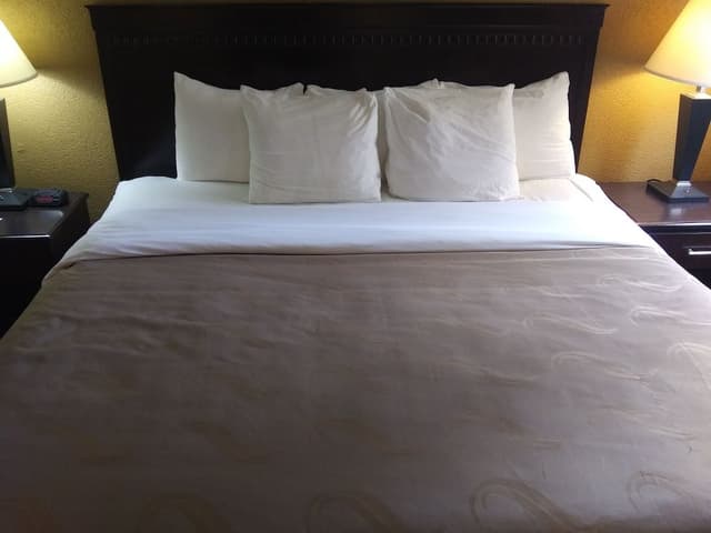 Standard Room, 1 King Bed, Non Smoking