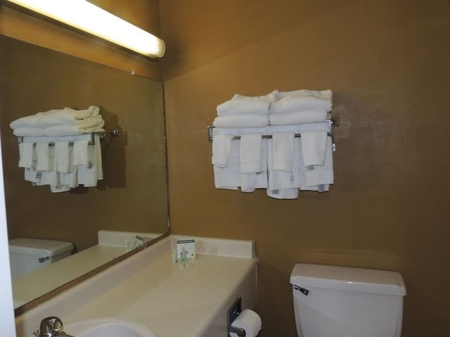 Standard Room, 1 King Bed with Sofa bed, Non Smoking